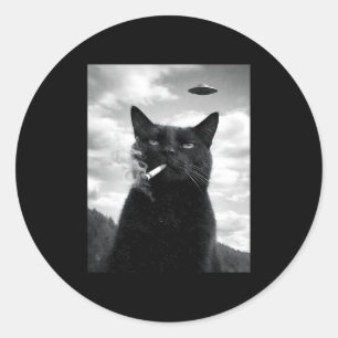 Cat Ufo Meme Selfie Alien Classic Round Sticker