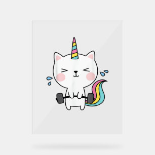 Cat Unicorn T Shirt Workit Gym Rainbow Caticorn C