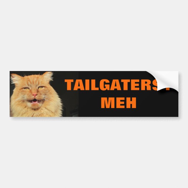 Cat unimpressed by Tailgaters Bumper Sticker (Front)