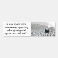 cat upsets quantum