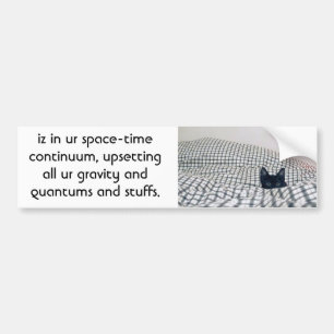 cat upsets quantum bumper sticker