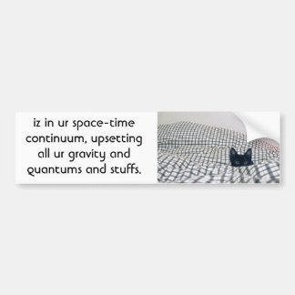 cat upsets quantum bumper sticker
