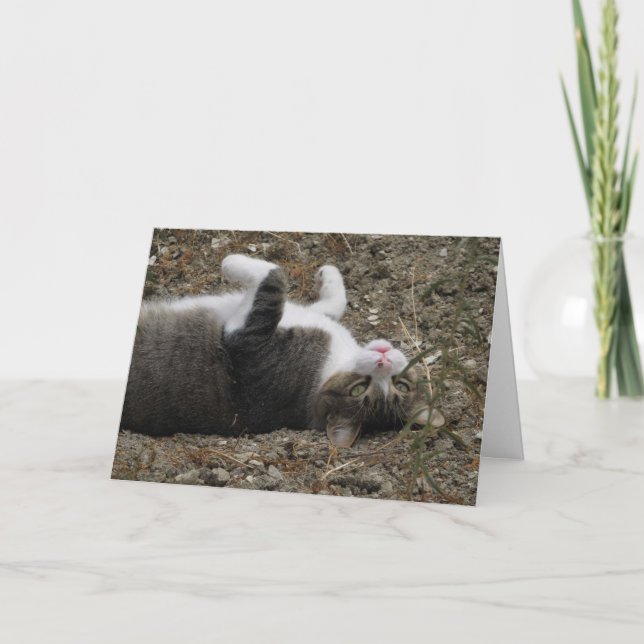 Cat Upside Down Easter Card (Front)