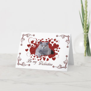 Cat valentine card