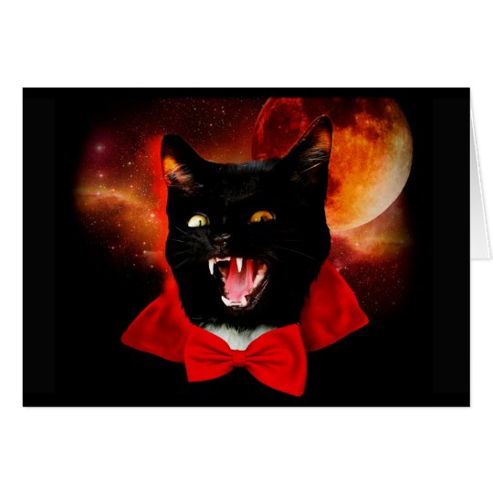 cat vampire - black cat - funny cats card