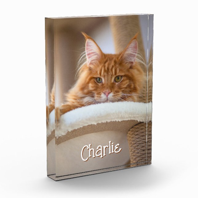 Cat Vertical Portrait Photo Cute Font Name Block (Left)