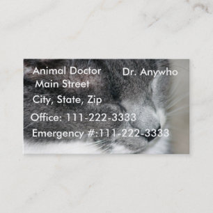 Cat Vet Profile/Business Card