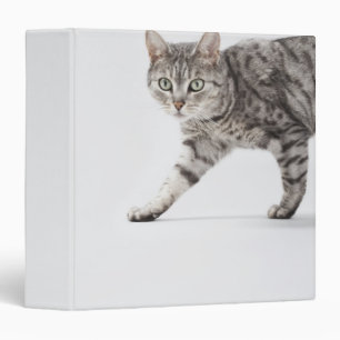 Cat walking binder