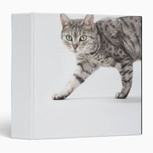 Cat walking binder
