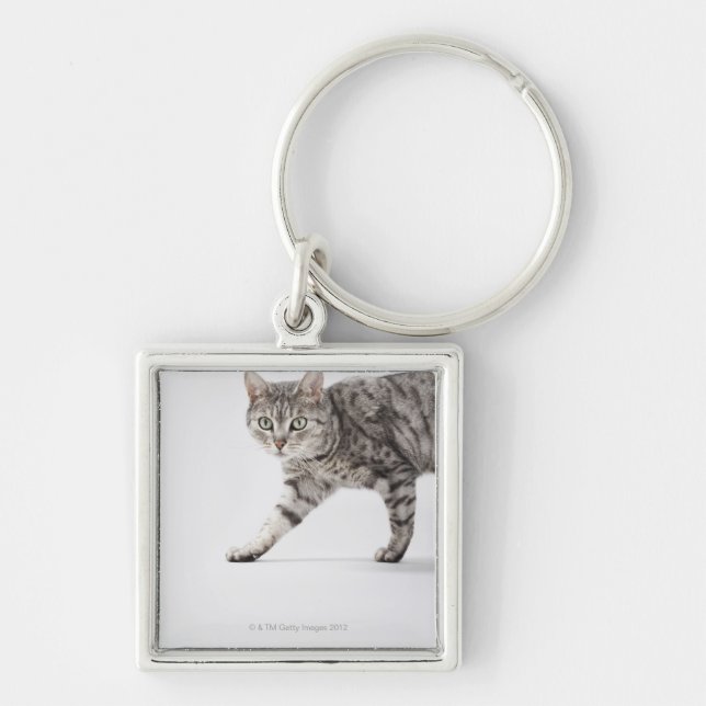 Cat walking keychain (Front)