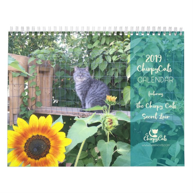 Cat Wall Calendar (Cover)