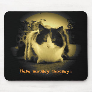Cat Wants Mice to Come Out and Play Mouse Pad