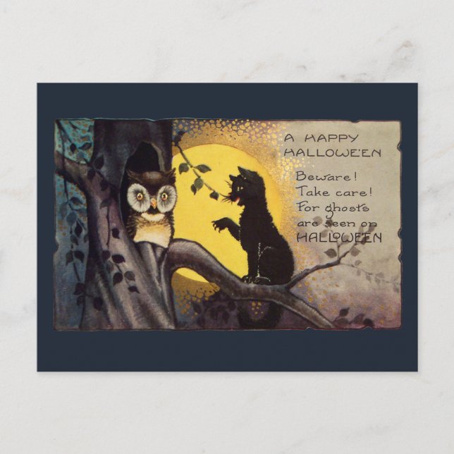 Cat Warning Owl Vintage Halloween Postcard (Front)