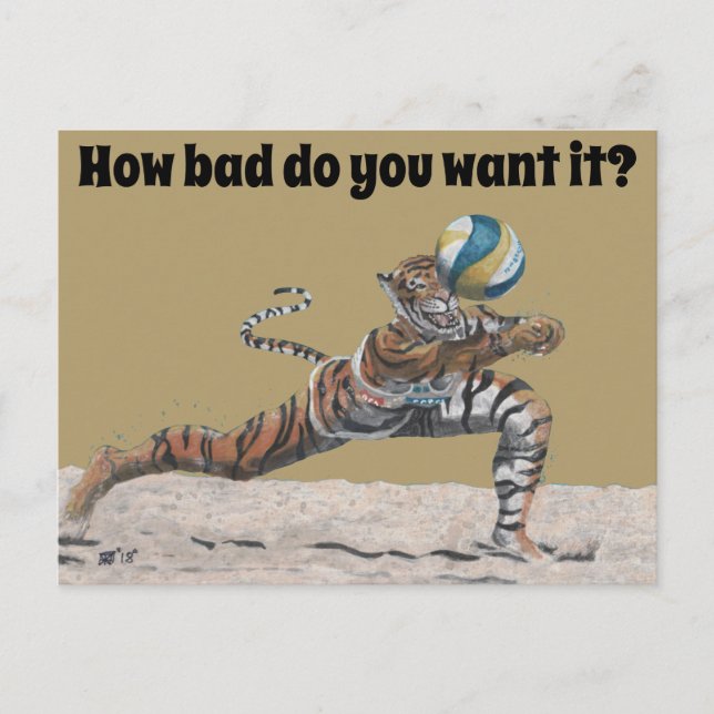 Cat Warrior Beach Volleyball Fantasy Art Postcard (Front)