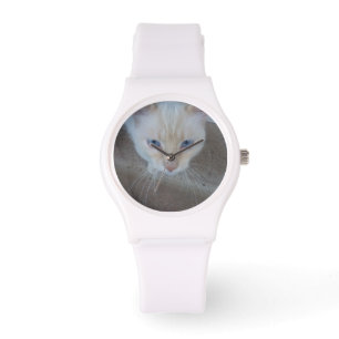 Cat Watch