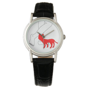 Cat Watch
