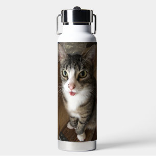 Cat  water bottle