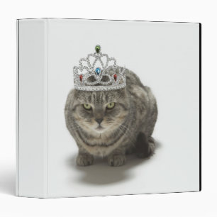 Cat wearing a tiara binder