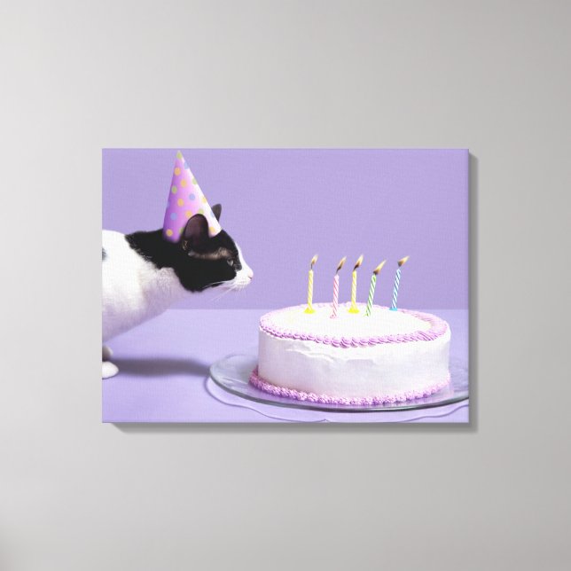 Cat wearing birthday hat blowing out candles canvas print (Front)