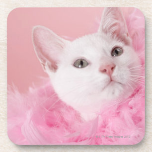 Cat wearing feather boa coaster