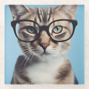 Cat Wearing Glasses Glass Coaster