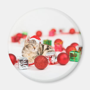Cat wearing red Santa hat Christmas Ornament Magnet