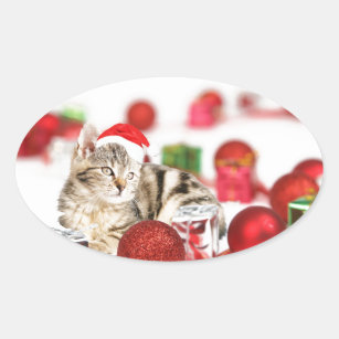 Cat wearing red Santa hat Christmas Ornament Oval Sticker