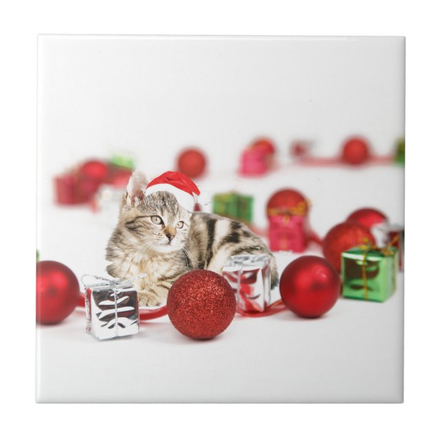 Cat wearing red Santa hat Christmas Ornament Tile (Front)