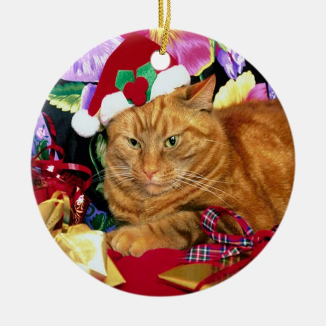 Cat Wearing Santa Claus Hat - Ornament (Front)