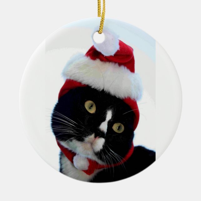 Cat wearing santa hat photograph, BW kitty Ceramic Ornament (Front)