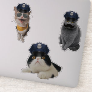 Cat Wearing Sunglasses