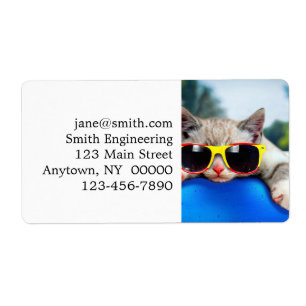 Cat wearing sunglasses relaxing on air mattress