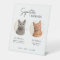 Cat Wedding Signature Drinks Cocktail Bar Pedestal