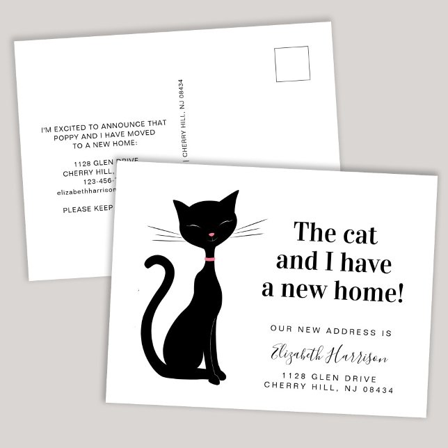 Cat We've Moved New Address Announcement Postcard (Creator Uploaded)