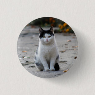 Cat, White, Pet 1 Inch Round Button