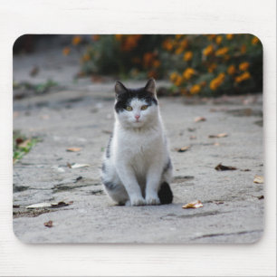 Cat, White, Pet Mouse Pad