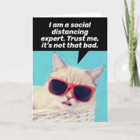 Cat Who Is A Social Distancing Expert- Coping Card