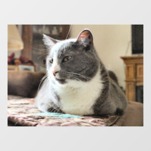 Cat Window Cling