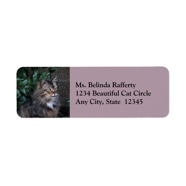 Cat With a Grateful Heart Return Address Labels (Front)