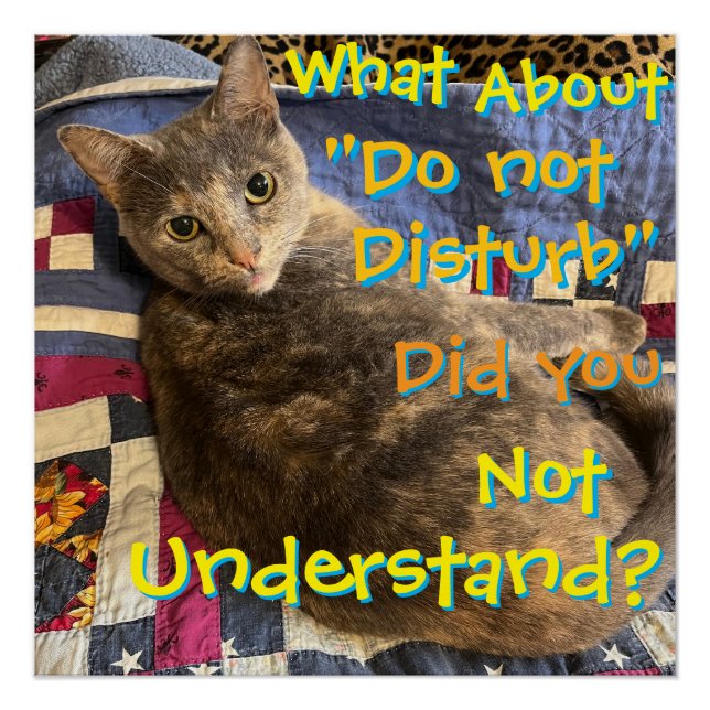 Cat with attitude poster (Front)