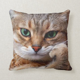 cat with attitude throw pillow