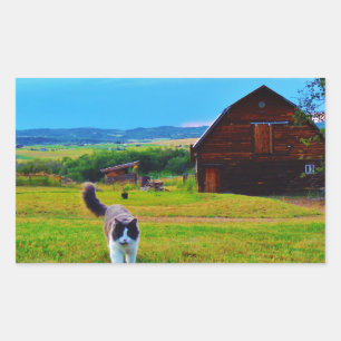 Cat with Barns Sticker