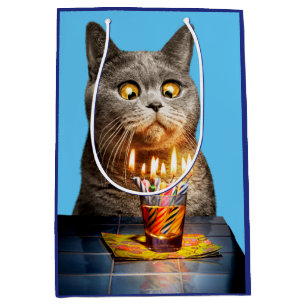 Cat With Birthday Shot Glass Medium Gift Bag
