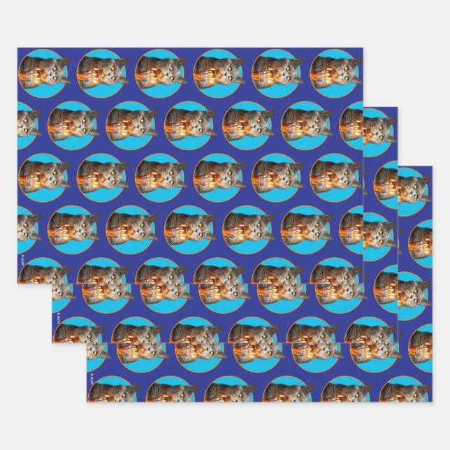 Cat With Birthday Shot Glass Wrapping Paper Sheet (Set)