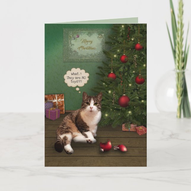 Cat with broken Christmas Ornament Holiday Card (Front)