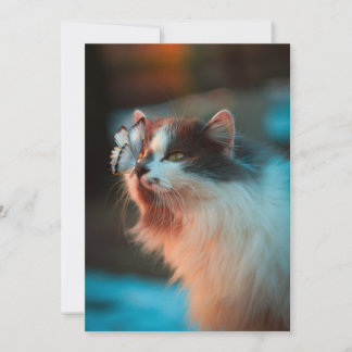 Cat with butterfly on its nose holiday card