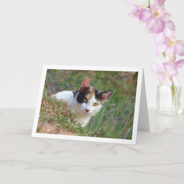 Cat with Calico Pattern Card (Orchid)
