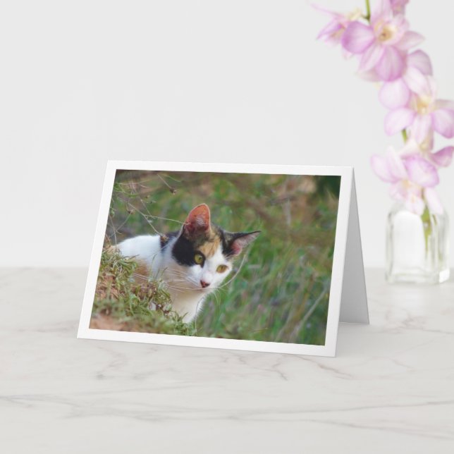 Cat with Calico Pattern Card (Orchid)