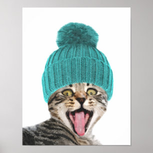 Cat with cap cute animal portrait poster