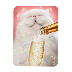 Cat With Champagne Magnet
